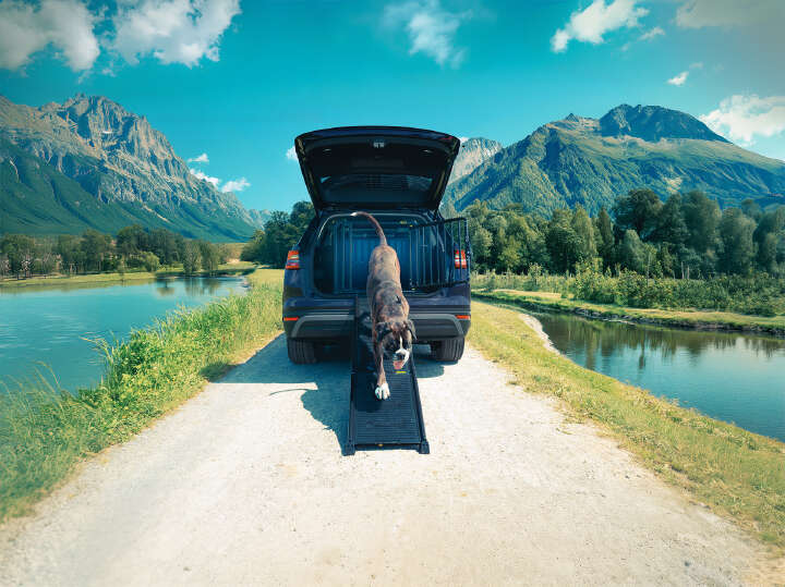 4pets Easy-Steps Einstiegshilfe